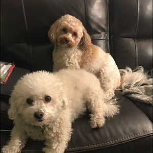 Meet your Posher, Marcus